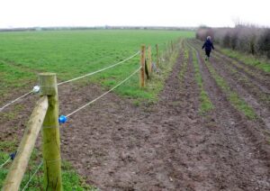 SY5887 : Bridle Path near Kingston Russel