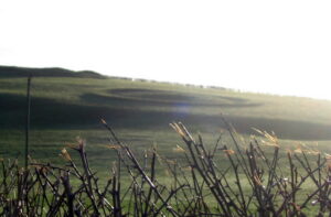 SY5990 : Mysterious tumulus near Broad Stone