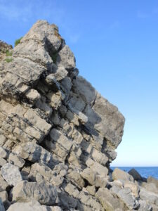 SY6971 : Pouring Portland