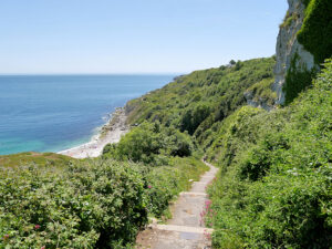 SY6971 : South West Coastal Path, Steps to Church Ope Cove