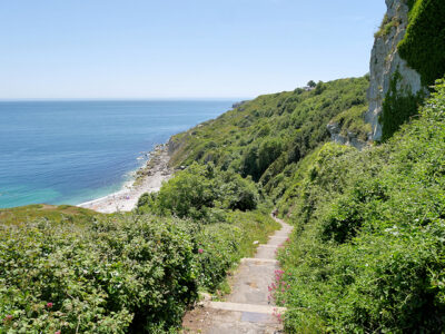 SY6971 : South West Coastal Path, Steps to Church Ope Cove