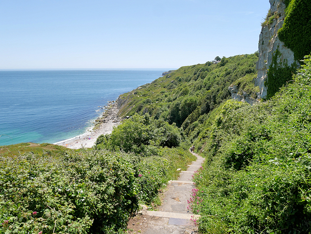 SY6971 : South West Coastal Path, Steps to Church Ope Cove