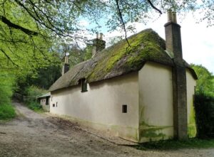 SY7292 : Rear view of Thomas Hardy's Cottage, Higher Bockhampton