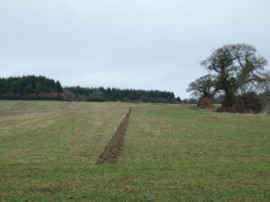 SY8293 : Preparing For A Ploughing Match, Turners Puddle