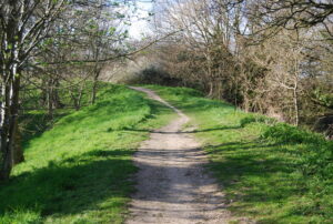 SY9287 : On top of the town wall, Wareham