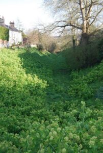 SY9287 : Town Ditch, Wareham