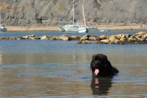 SY9576 : Chapman's Pool