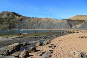 SY9576 : Chapman's Pool