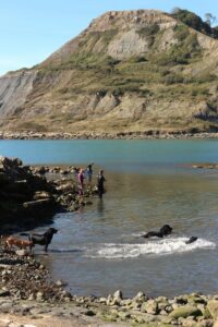 SY9576 : Chapman's Pool