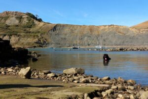 SY9576 : Chapman's Pool