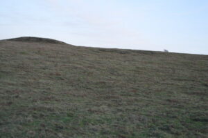 SY9581 : Corfe Common