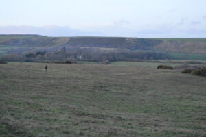 SY9581 : Corfe Common