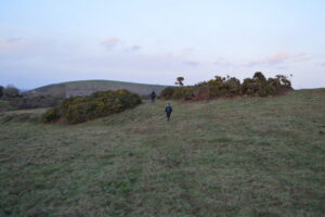 SY9581 : Corfe Common