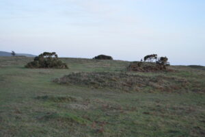 SY9581 : Corfe Common