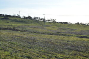 SY9781 : Corfe Common