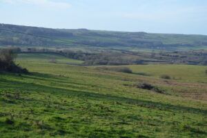 SY9781 : Corfe Common