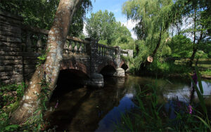 SZ0199 : Dean's Court Wimborne - Bridge over the River Allen