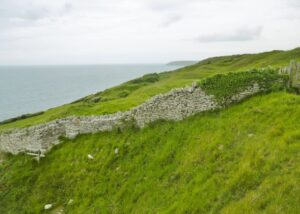 SZ0277 : Durlston, wall