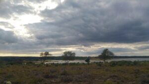 SZ0284 : View towards Brand's Point and Mead Point, Poole Harbour, from  Studland Heath