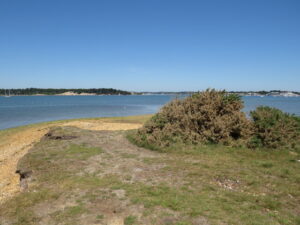 SZ0286 : Jerry's Point, Poole Harbour