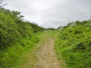 SZ0377 : Durlston, footpath