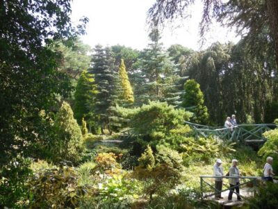 SZ0589 : Compton Acres Gardens