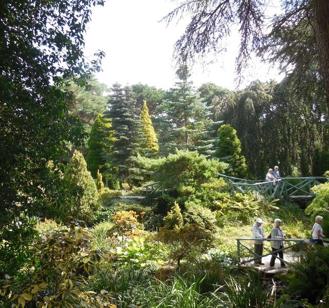 SZ0589 : Compton Acres Gardens