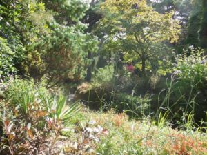 SZ0589 : Rock and Water Garden, Compton Acres