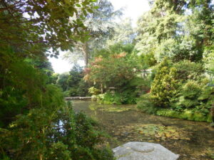 SZ0589 : Stream in Japanese Garden