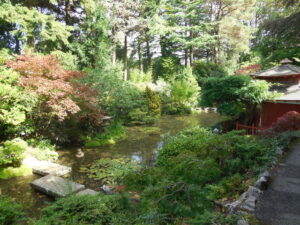 SZ0589 : Stream in Japanese Garden