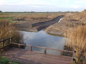 TF4001 : Modification