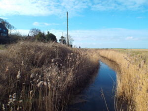 TG0544 : Drain at Cley Marshes