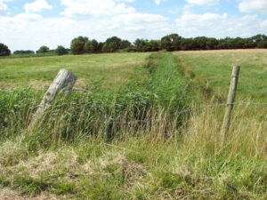 TG4420 : Drainage ditch on Heigham Holmes