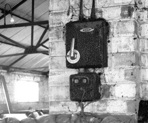 TG4420 : Farm building on Heigham Holmes (detail)