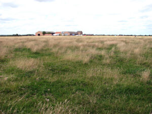 TG4420 : View across a marsh pasture on Heigham Holmes